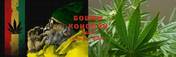 прущие крисы Белоозёрский