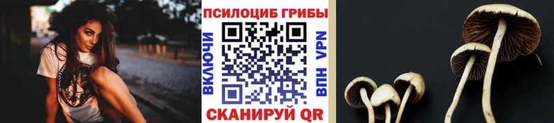 купить наркоту  Маркс  Псилоцибиновые грибы мухоморы 